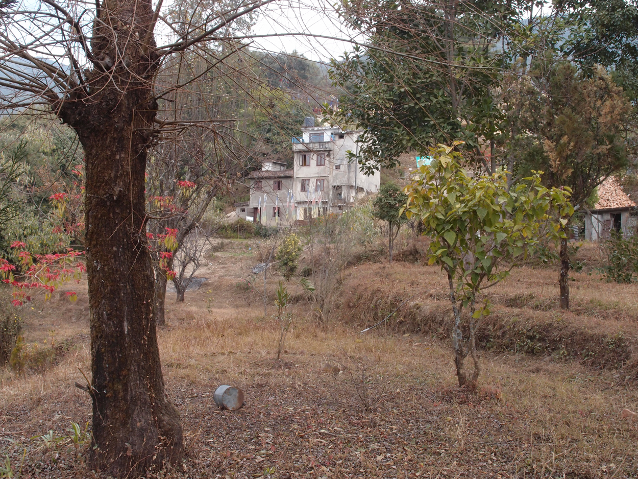 2018-01-16 12 Uhr - Im Shivapuri Nagarjun National Park (Nagi Gumba) (Foto) 